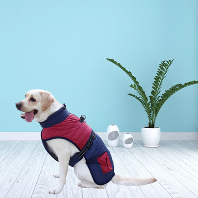 Abrigo Térmico para Perros - Invierno y Otoño - Image 19