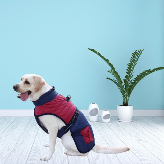 Abrigo Térmico para Perros - Invierno y Otoño - Image 19