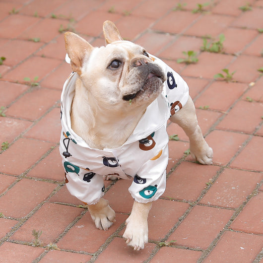 Impermeable para Cachorros - Traje Osito Resistente al Agua - Image 7