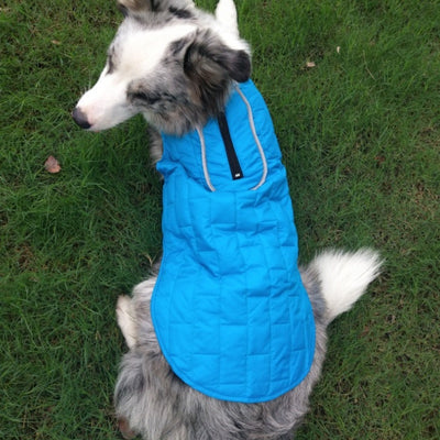 Ropa de Abrigo para Mascotas Cuadros Bicolor Otoño Invierno