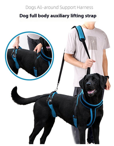 Arnés Auxiliar para Perros con Correa de Soporte - Image 8