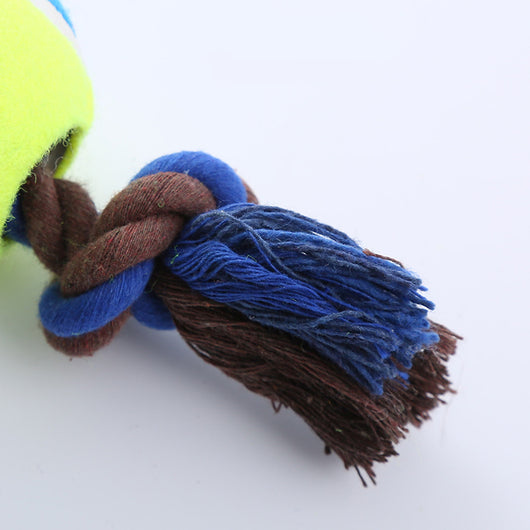 Juguete Interactivo para Perros con Cuerda y Pelota de Tenis Resistente - Image 5