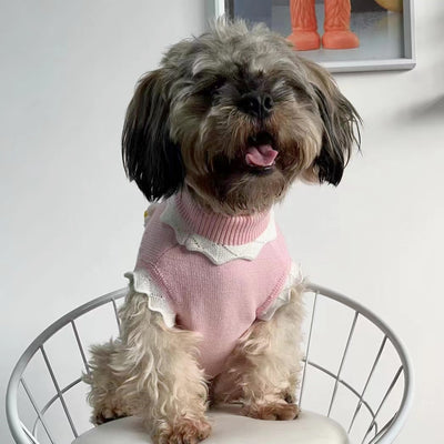 Suéter Cálido para Perros y Gatos - Colección Flores Otoño e Invierno - Image 4