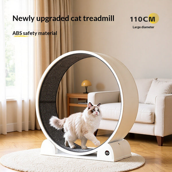 Caminadora Inteligente para Gatos con Pantalla Interactiva