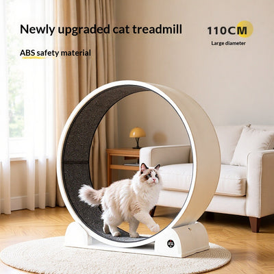 Caminadora Inteligente para Gatos con Pantalla Interactiva