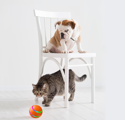 Orange pet wicked ball toy with colorful LED lights and a yellow paw-shaped remote control. - Image 3