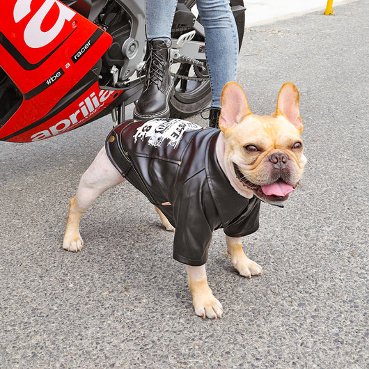 Ropa para Perros de Dos Patas con Forro Polar - Marca Tide Plus - Image 7