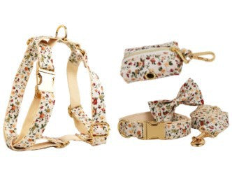 Conjunto de Collar Floral Blanco para Mascotas