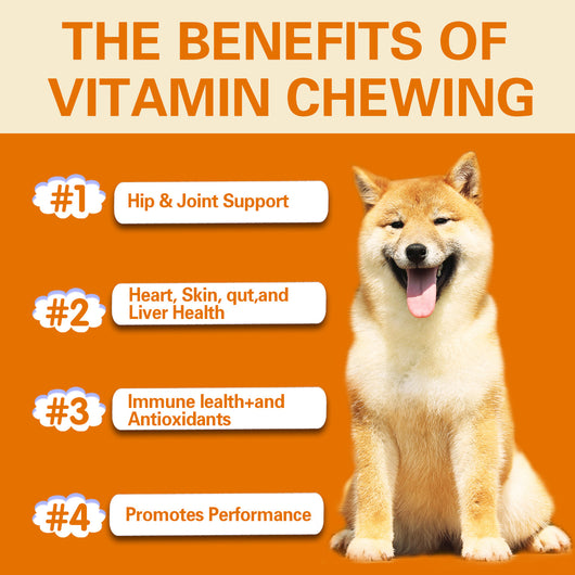 Youmile Multivitamin Chews for dogs, a white jar with an orange label, offering multifunctional health support for joints, skin, immunity, heart, gut, and antio - Image 9