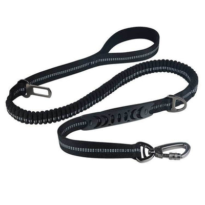 Correa Retráctil para Perro con Diseño Personalizado - Image 4