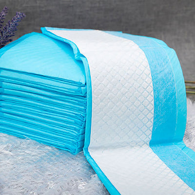 Pañales Desechables Absorbentes para Mascotas