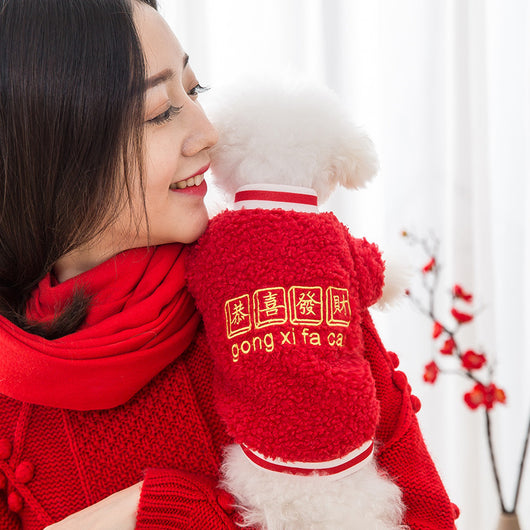 Suéter Polar Ligero Teddy Bichón Primavera Otoño - Image 11