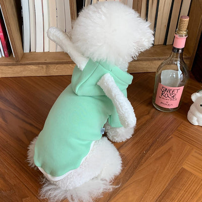 Suéter Fino para Perro Matcha con Diseño Osito - Image 5