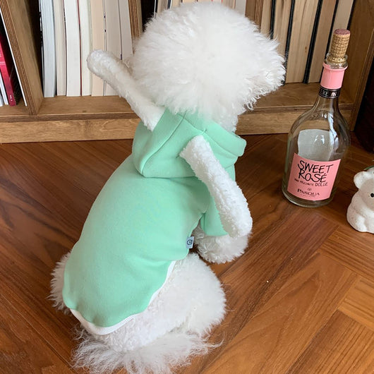Suéter Fino para Perro Matcha con Diseño Osito - Image 5