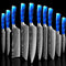 Cuchillo de Chef 8 Pulgadas con Mango de Resina Azul