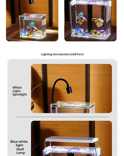 Acuario de Bloques Acrílico Reforzado para Escritorio con Decoración Natural - Image 6