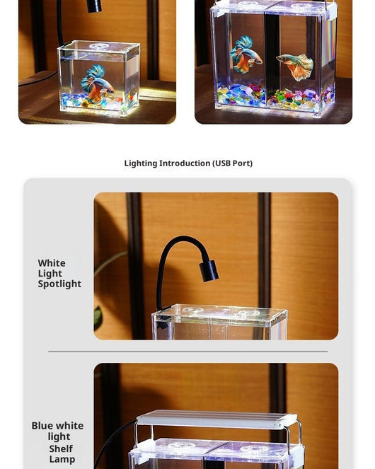 Acuario de Bloques Acrílico Reforzado para Escritorio con Decoración Natural - Image 6