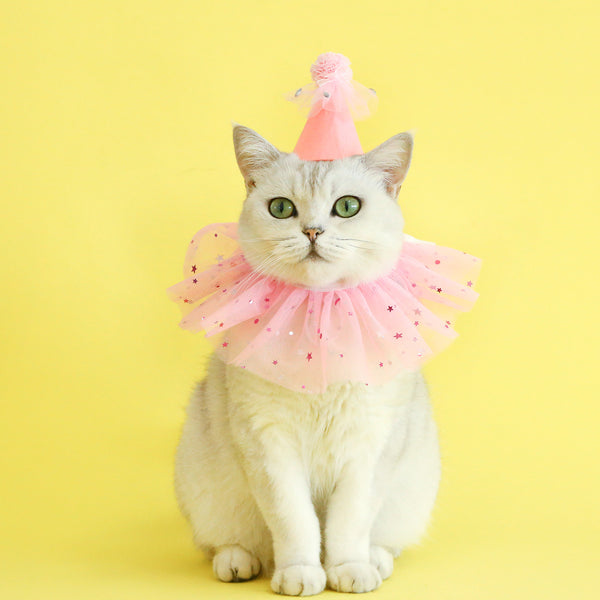 Conjunto de Accesorios para Mascotas: Falda de Tul con Lentejuelas, Babero de Encaje y Sombrero de Fieltro