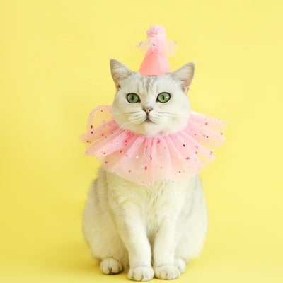 Conjunto de Accesorios para Mascotas: Falda de Tul con Lentejuelas, Babero de Encaje y Sombrero de Fieltro