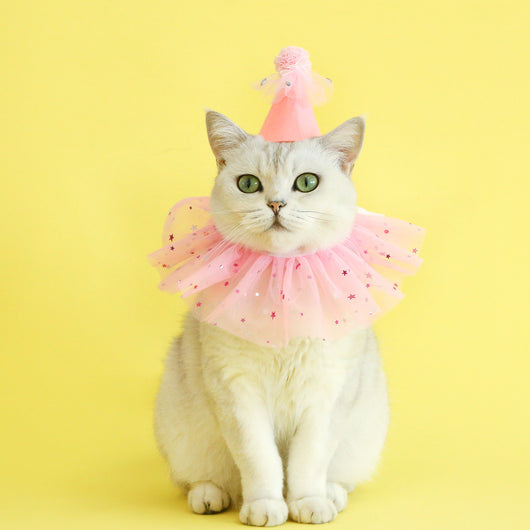 Conjunto de Accesorios para Mascotas: Falda de Tul con Lentejuelas, Babero de Encaje y Sombrero de Fieltro