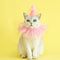 Conjunto de Accesorios para Mascotas: Falda de Tul con Lentejuelas, Babero de Encaje y Sombrero de Fieltro