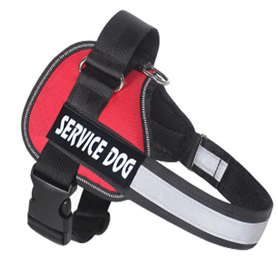 Arnés de Pecho para Perros Pequeños y Medianos - Correa de Seguridad Ajustable - Image 10