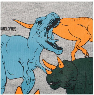 Camiseta de Manga Larga Dinosaurio para Niño en Algodón - Image 10