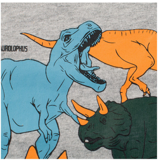 Camiseta de Manga Larga Dinosaurio para Niño en Algodón - Image 10