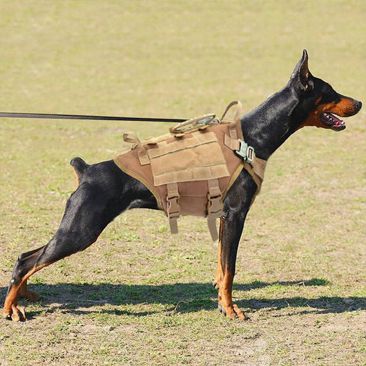Arnés Táctico Profesional para Perros Grandes Malinois con Correa y Mochila de Entrenamiento - Image 9