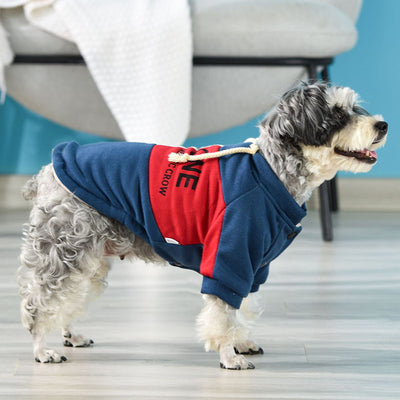 Suéter de Dos Patas para Perros Pequeños Bichón - Colección Otoño Invierno - Image 5