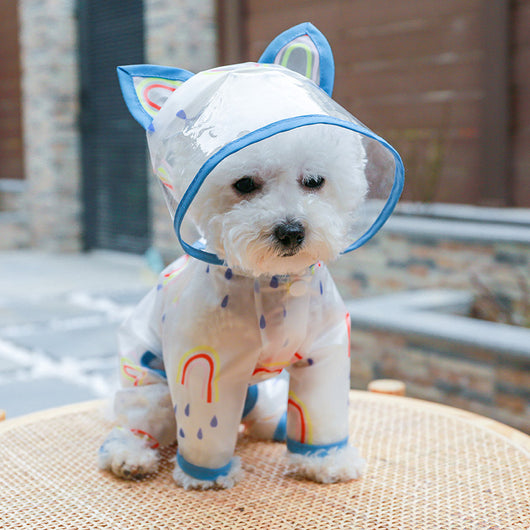 Impermeable Transparente Arcoíris para Perros - Image 10