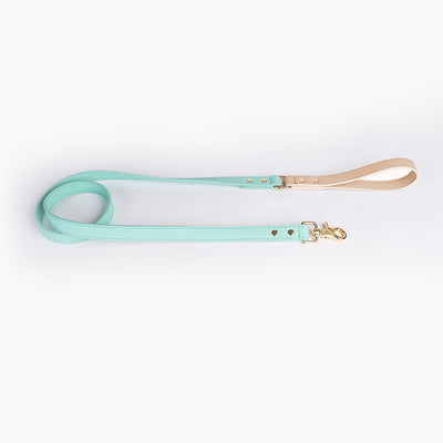 Juego de Collar y Correa para Perro en Cuero Premium - Image 33