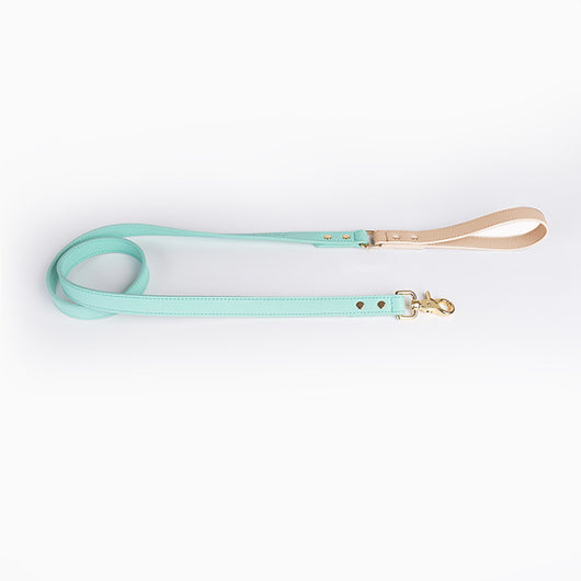 Juego de Collar y Correa para Perro en Cuero Premium - Image 33