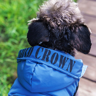 Abrigo Térmico con Capucha para Mascotas - Diseño Acolchado Invierno - Image 4