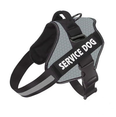 Arnés de Pecho Fashion para Perro con Correa Integrada - Image 6