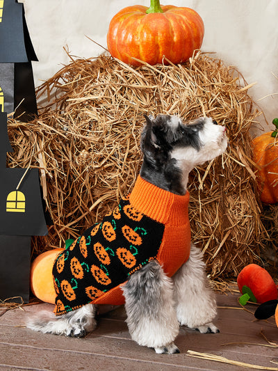 Suéter de Abrigo para Perros - Ropa Otoño Invierno - Image 9