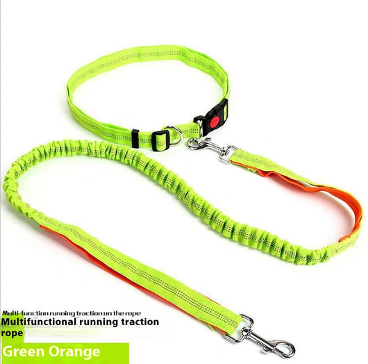Correa Reflectante para Perros con Elástico - Ideal para Correr de Noche - Image 22