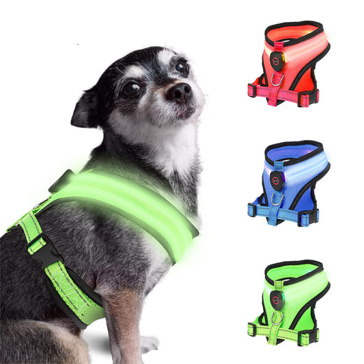 Arnés LED Recargable con Malla Reflectante para Perros - Image 10