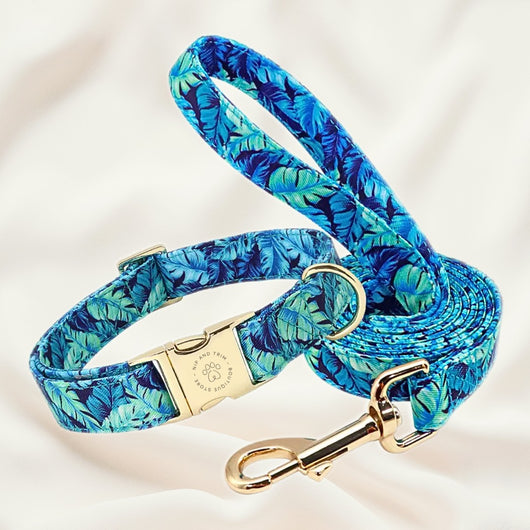Collar Personalizado para Perro con Placa de Identificación - Image 14