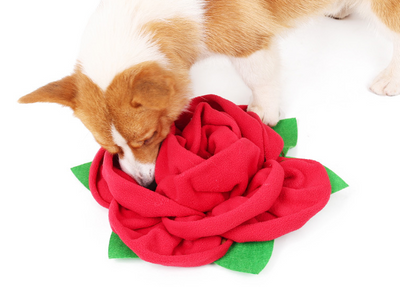 Tapete Olfativo para Perros con Rosas - Entrenamiento y Enriquecimiento - Image 3
