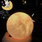 Trompeta Luna Blanca