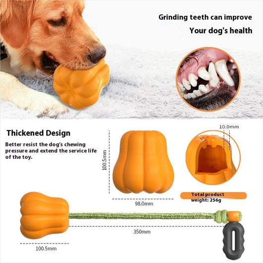 Juguete para Perros Resistente para Camping - Lanzamiento Extra Largo - Image 6