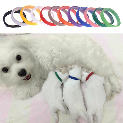 Collares de Identificación para Cachorros Recién Nacidos (Paquete de 12) - Image 19