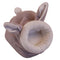 Gris Rabbit S