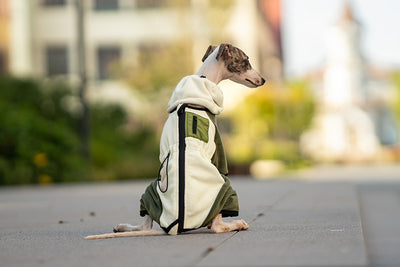 Abrigo Térmico para Mascotas con Cuello Desmontable Resistente al Viento - Image 24