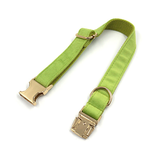 Collar para Perro Terciopelo Matcha Verde Simple - Image 5