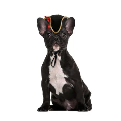 Gorro Cálido Disfraz Mascota Perro Gato - Accesorios Fotográficos - Image 38