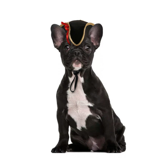Gorro Cálido Disfraz Mascota Perro Gato - Accesorios Fotográficos - Image 38