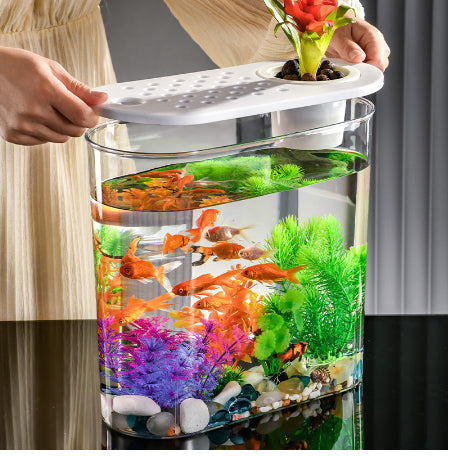 Pecera Ecológica de Acrílico Transparente para Peces de Agua Fría - Image 11