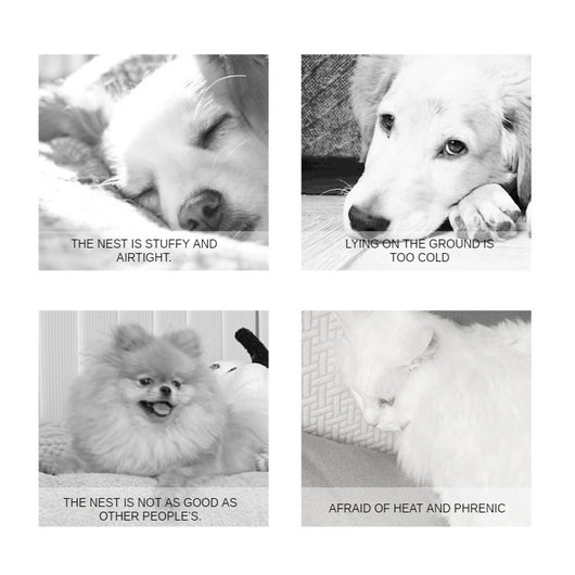 Colchoneta Refrigerante para Mascotas - Gel Frío para Perros y Gatos - Image 10